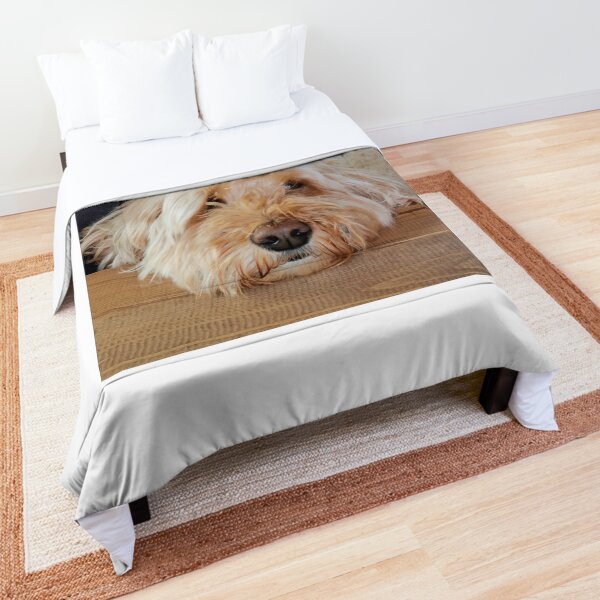 Golden doodle Comforter