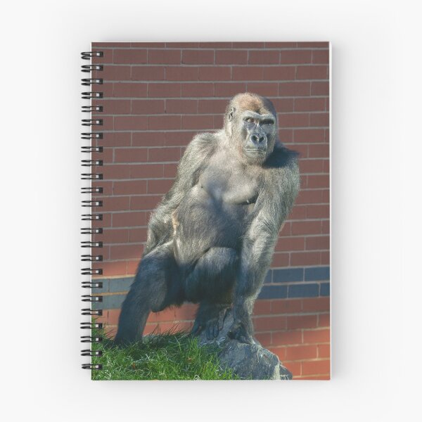 Item preview, Gorilla Sitting On A Rock designed and sold by rawshutterbug.