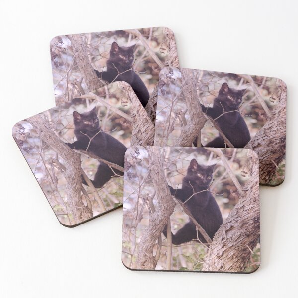 Item preview, Cat Charlie in the tree 2 designed and sold by Gourmetkater.