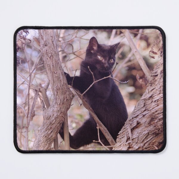 Item preview, Cat Charlie in the tree 2 designed and sold by Gourmetkater.