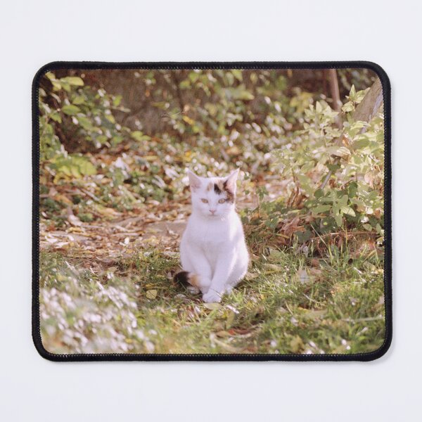 Item preview, cat Sue designed and sold by Gourmetkater.