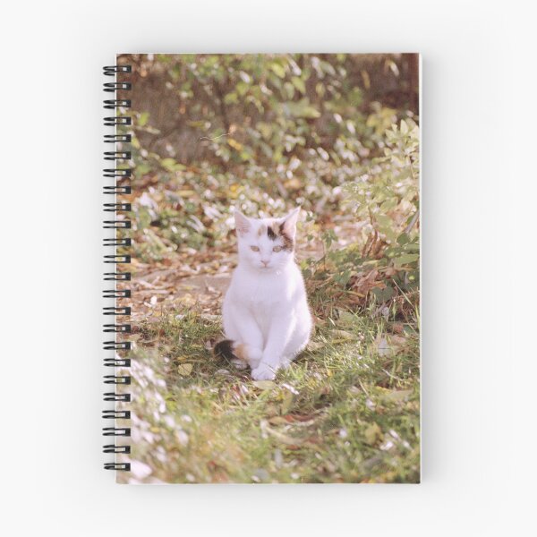 Item preview, cat Sue designed and sold by Gourmetkater.