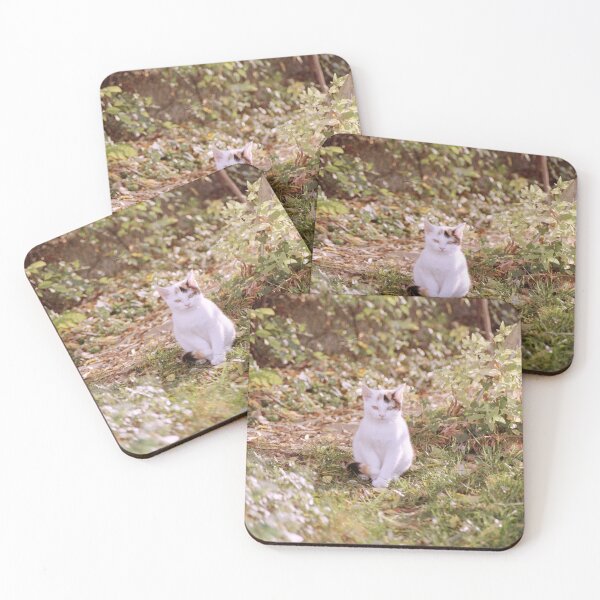 Item preview, cat Sue designed and sold by Gourmetkater.