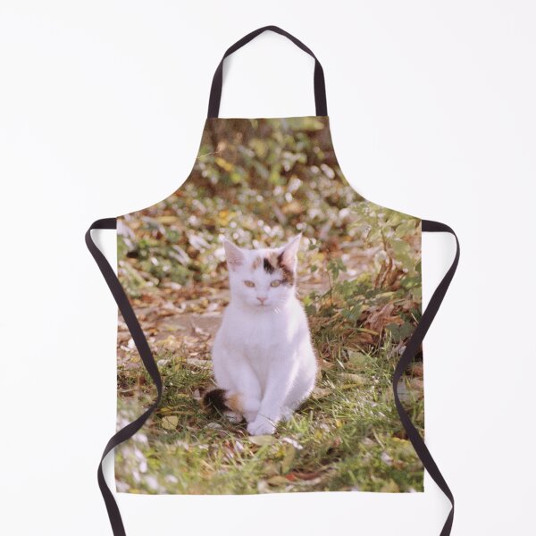 Item preview, cat Sue designed and sold by Gourmetkater.