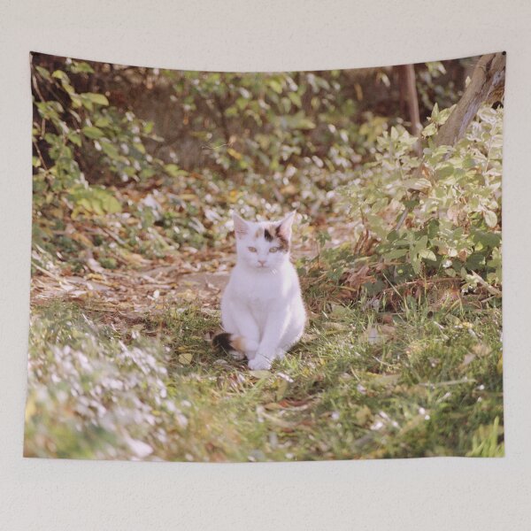 Item preview, cat Sue designed and sold by Gourmetkater.