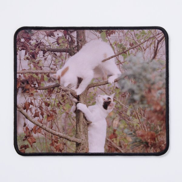 Item preview, Cat fight in the tree 2 designed and sold by Gourmetkater.