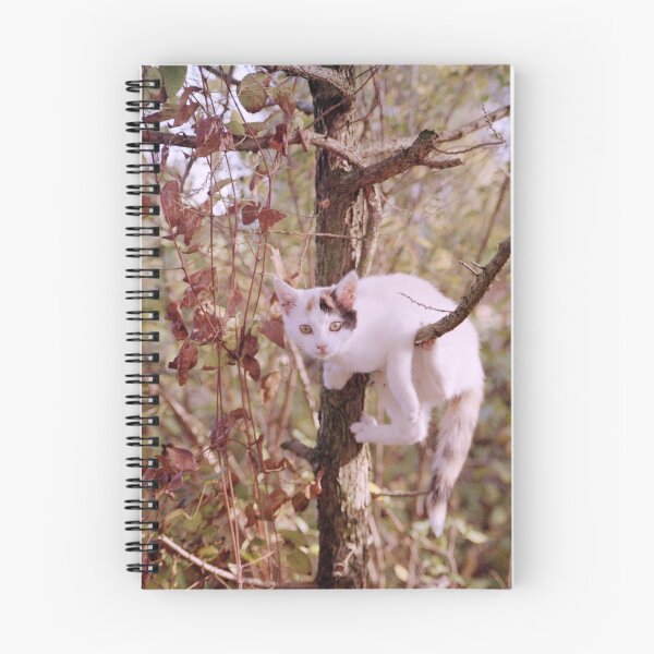 Item preview, Susie in the tree designed and sold by Gourmetkater.
