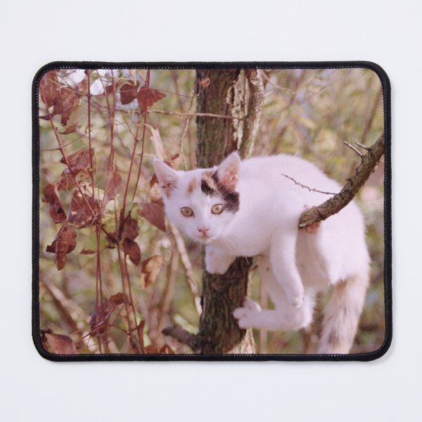 Item preview, Susie in the tree designed and sold by Gourmetkater.