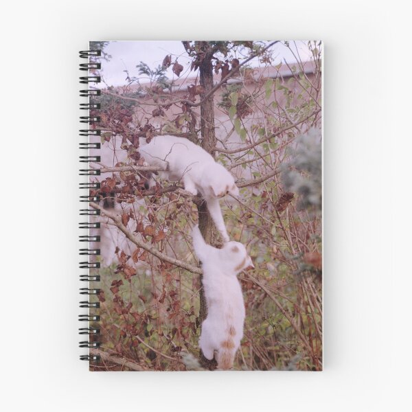 Item preview, Cat fight in the tree designed and sold by Gourmetkater.