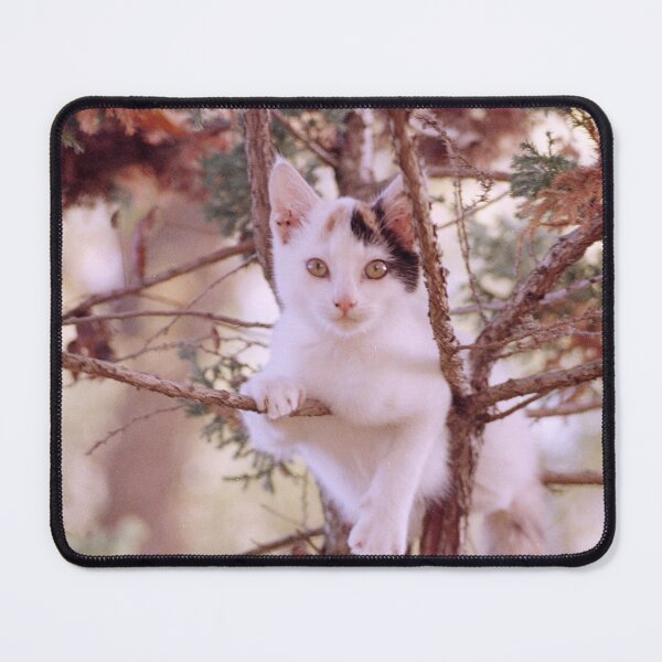 Item preview, Cat Susi sees you! designed and sold by Gourmetkater.