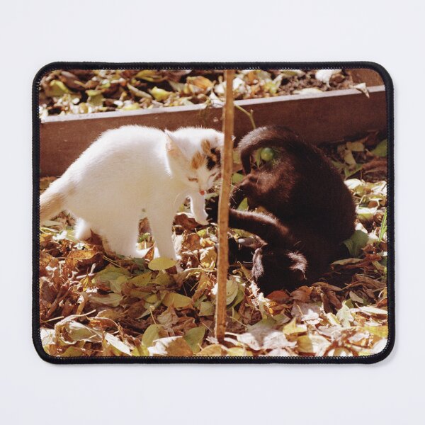 Item preview, Susi and Charly are romping designed and sold by Gourmetkater.