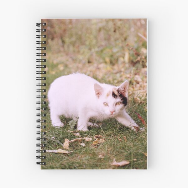 Item preview, cat Sue designed and sold by Gourmetkater.
