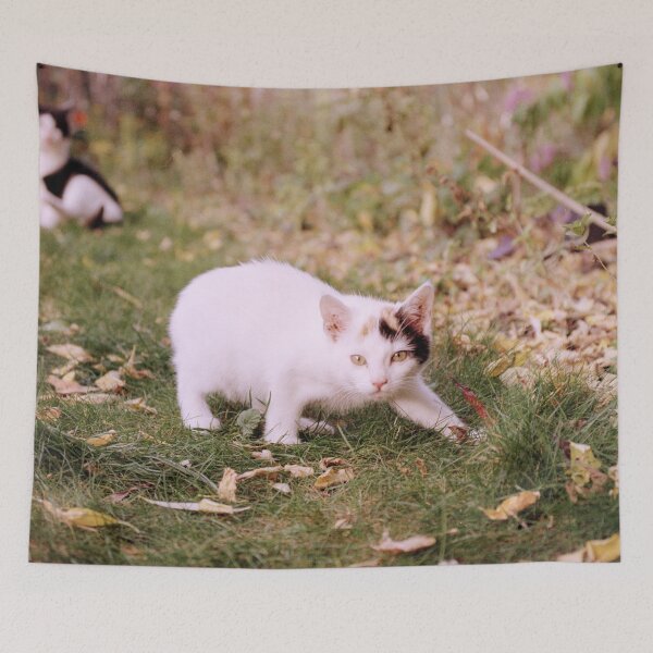 Item preview, cat Sue designed and sold by Gourmetkater.