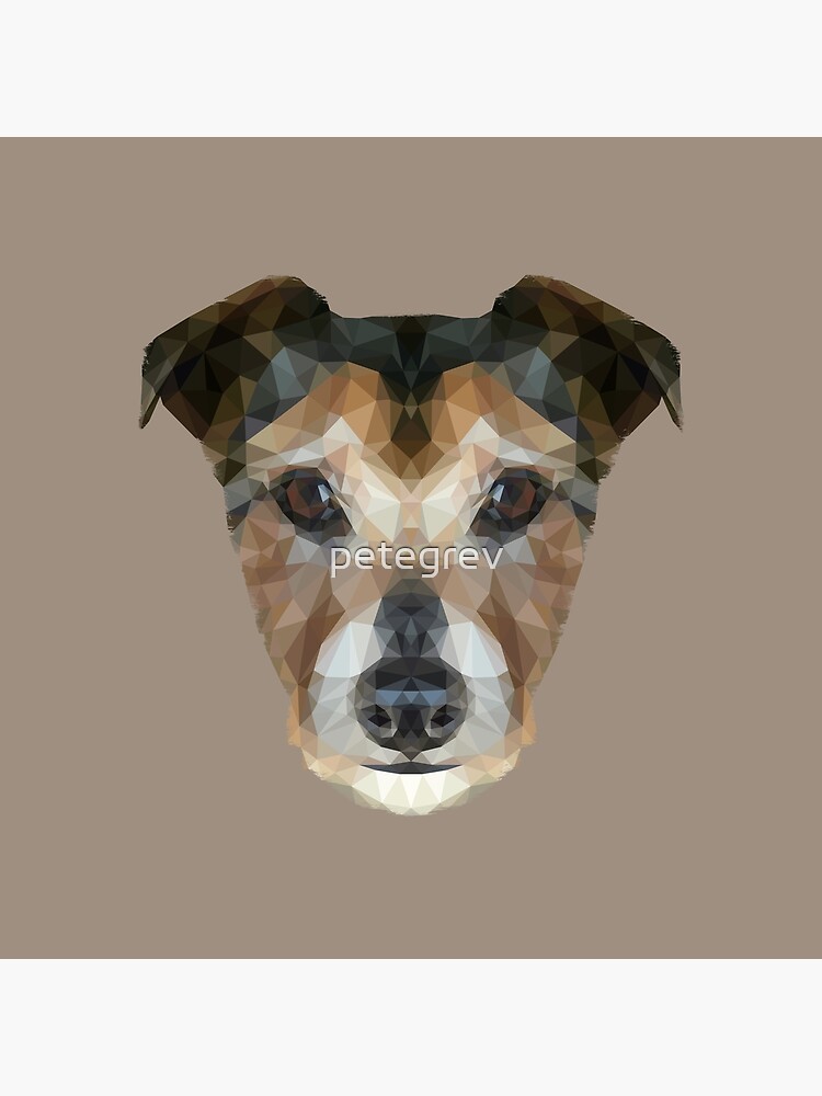The Jack Russell by petegrev