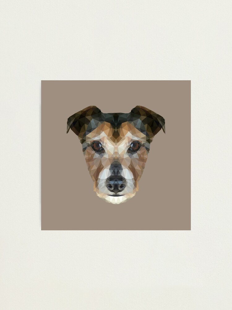 Alternate view of The Jack Russell Photographic Print