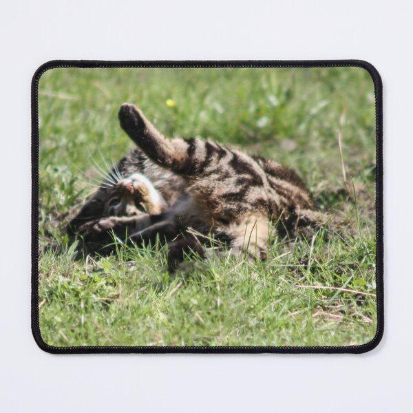 Item preview, tabby cat designed and sold by Francespoppy.