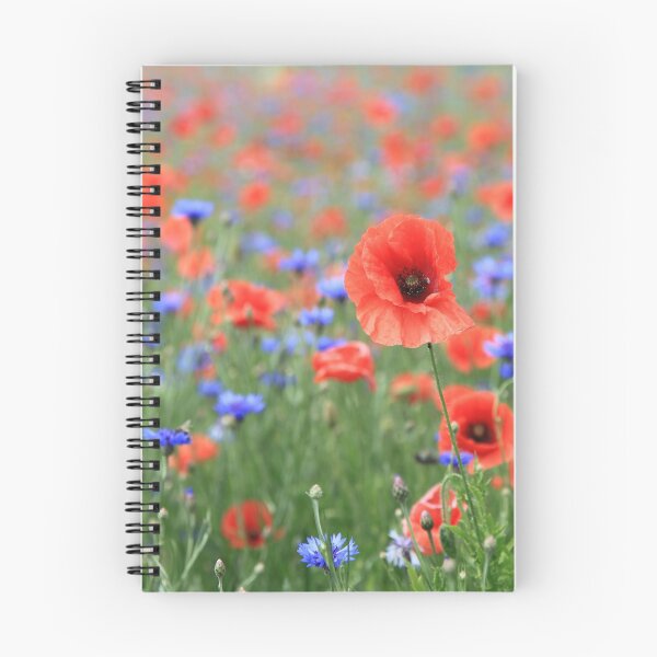 Item preview, poppies designed and sold by Falko-Follert.