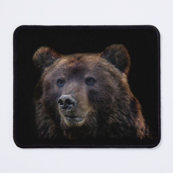 Item preview, Portrait of Kamchatka bear designed and sold by LubosChlubny.