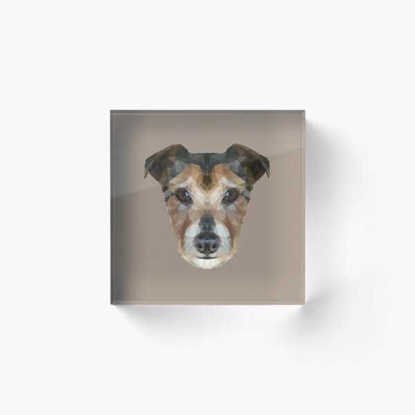 The Jack Russell Acrylic Block