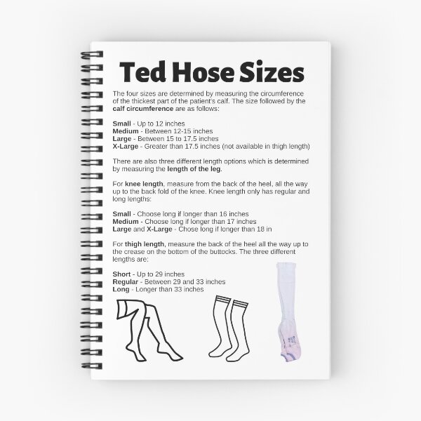 Item preview, Ted Hose Sizes Chart designed and sold by Caregiverology.