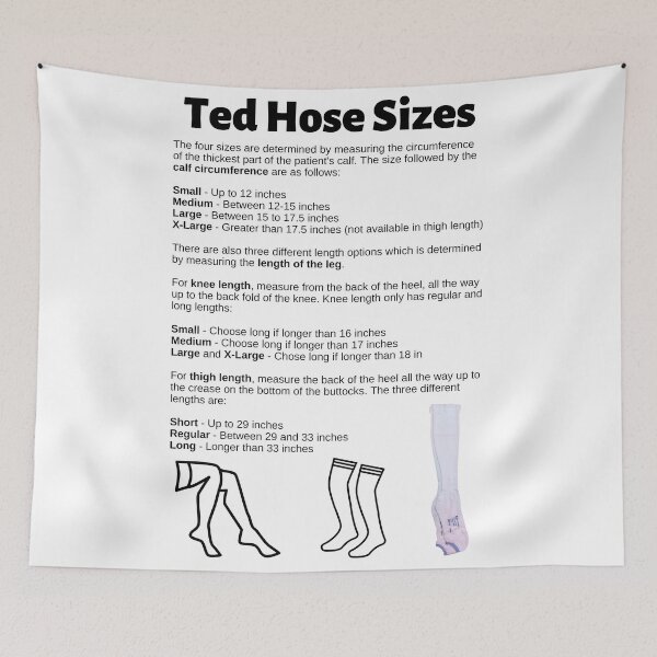 Item preview, Ted Hose Sizes Chart designed and sold by Caregiverology.