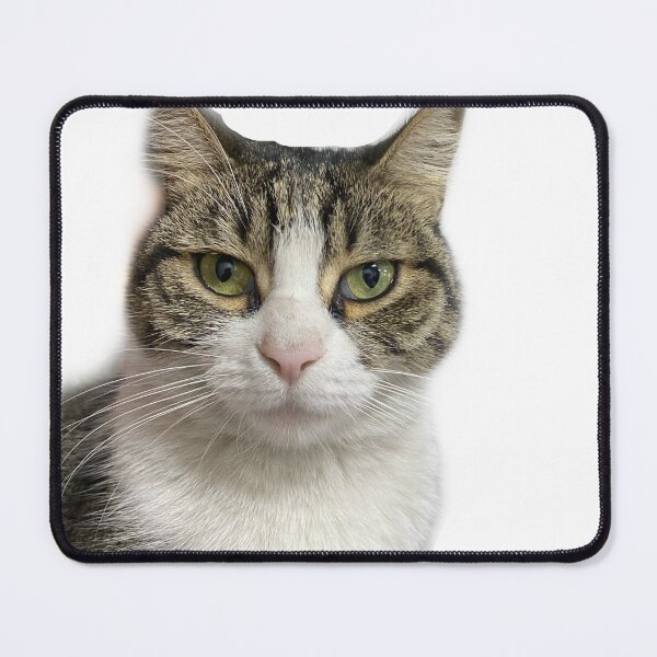 Item preview, Green eye cat designed and sold by LACKHEDA.