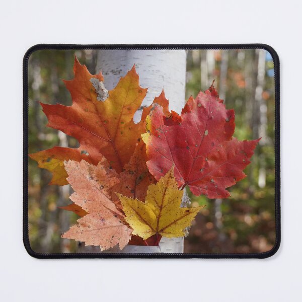 Item preview, Shades of Fall designed and sold by Gralyn Boyd.