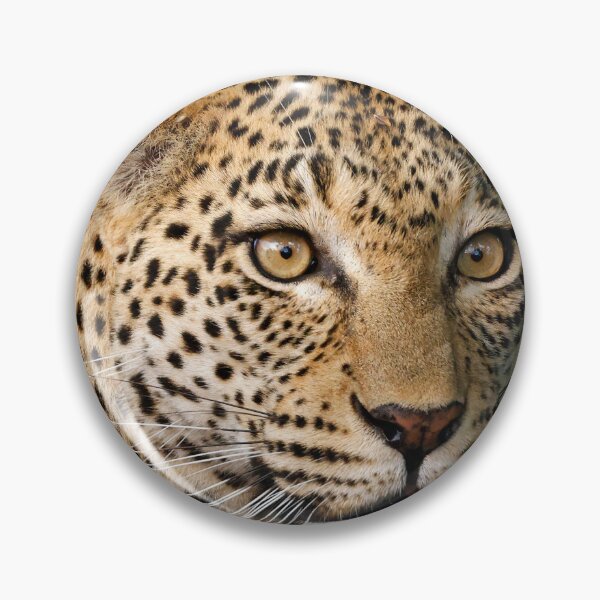 Artikelvorschau, Leopardin Three Rivers entworfen und verkauft von Anthony Goldman.