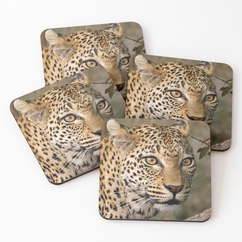 Item preview, Coasters (Set of 4) designed and sold by jozi1.
