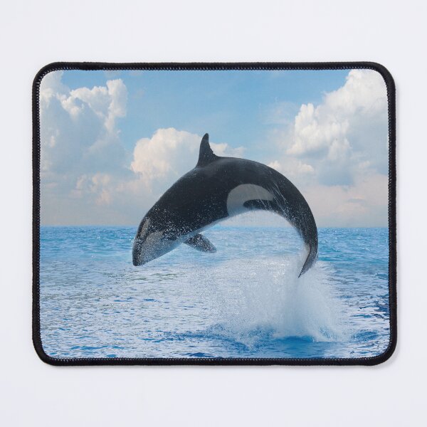 Item preview, Killer whale, poster,Killer whale wall art,Killer whale art, ocean, sea, blue, fish,Killer whale metal wall art, nature, water, wave, waves designed and sold by eyesight4vision.