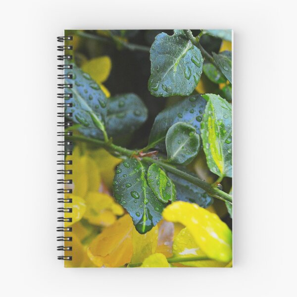Item preview, Leaf drops designed and sold by Nikopol.