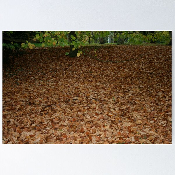 Item preview, Carpet of Leaves designed and sold by Iani.