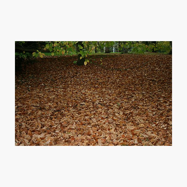 Item preview, Carpet of Leaves designed and sold by Iani.