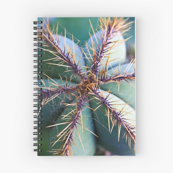 Aperçu de l'œuvre Cactus 5 créée et vendue par light-blower.