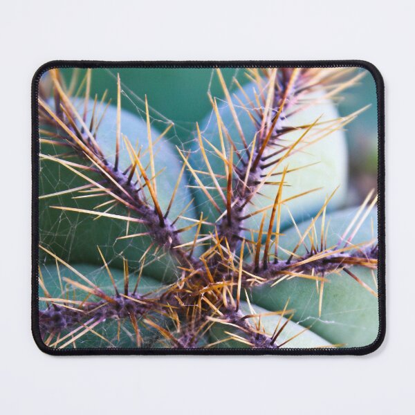 Item preview, Cacti 5 designed and sold by light-blower.