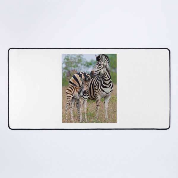 Item preview, Zebra Mother and Child designed and sold by Anthony Goldman.
