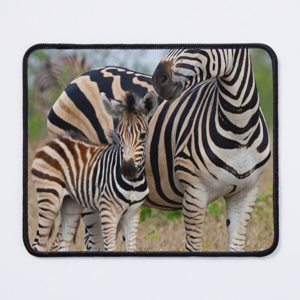 Item preview, Zebra Mother and Child designed and sold by Anthony Goldman.