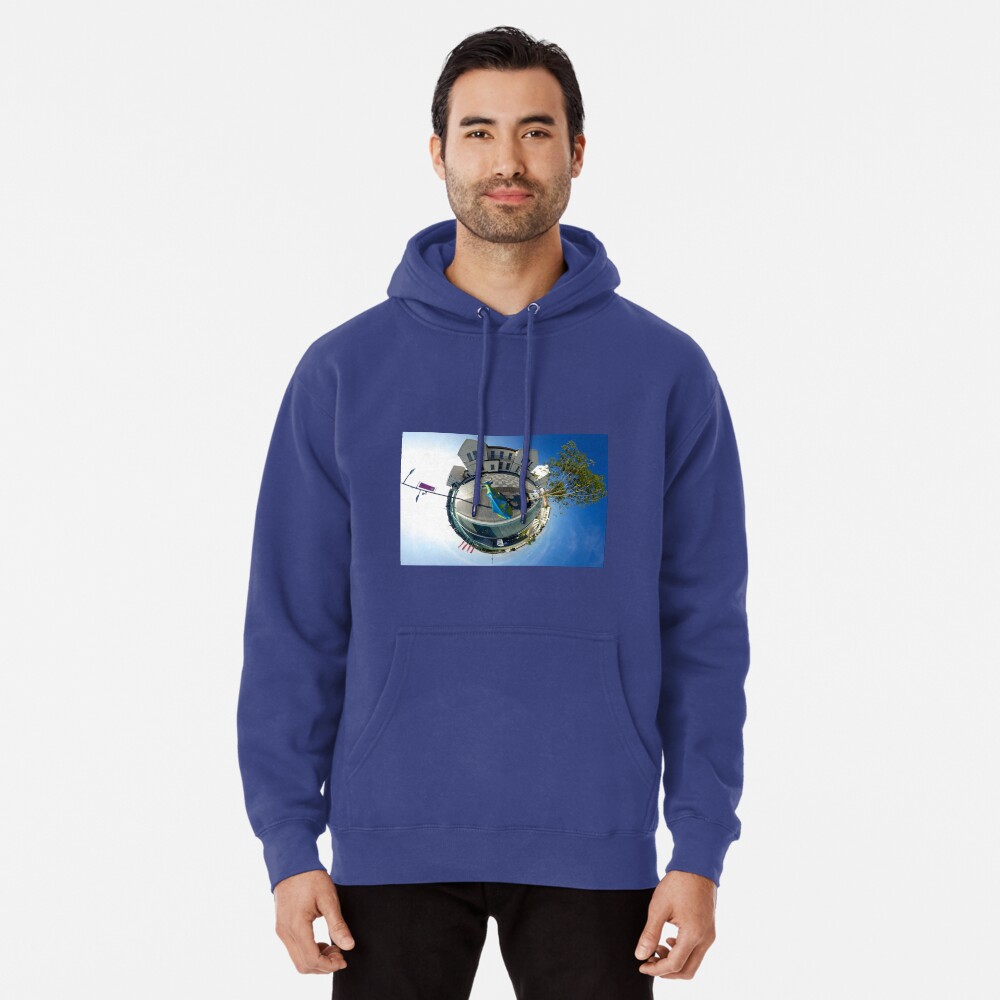 Cow Parade - diaspora Pullover Hoodie