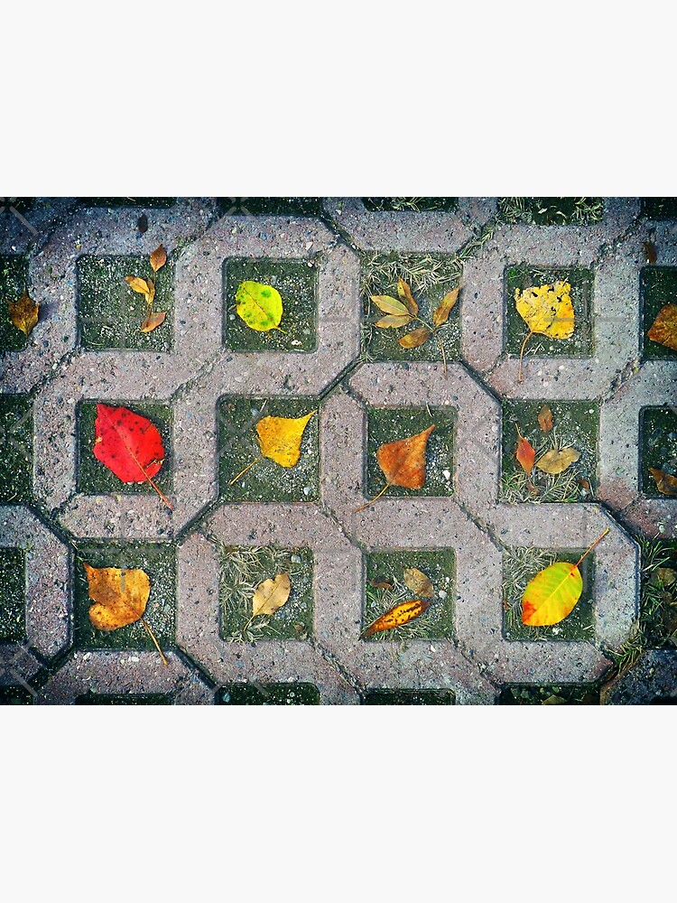 Thumbnail 3 of 3, Poster, Autumn foliage composition designed and sold by wildfaun.