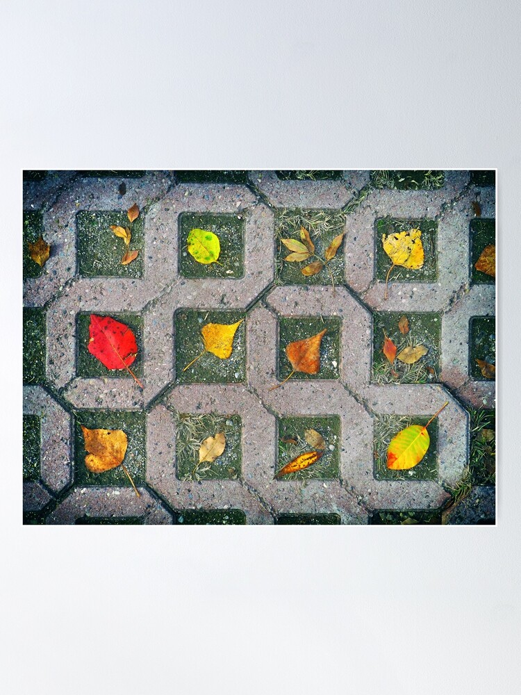 Thumbnail 2 of 3, Poster, Autumn foliage composition designed and sold by wildfaun.
