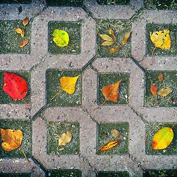 Artwork thumbnail, Autumn foliage composition by Andrea Franchi