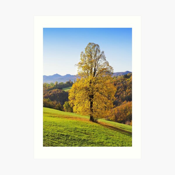 Art Print