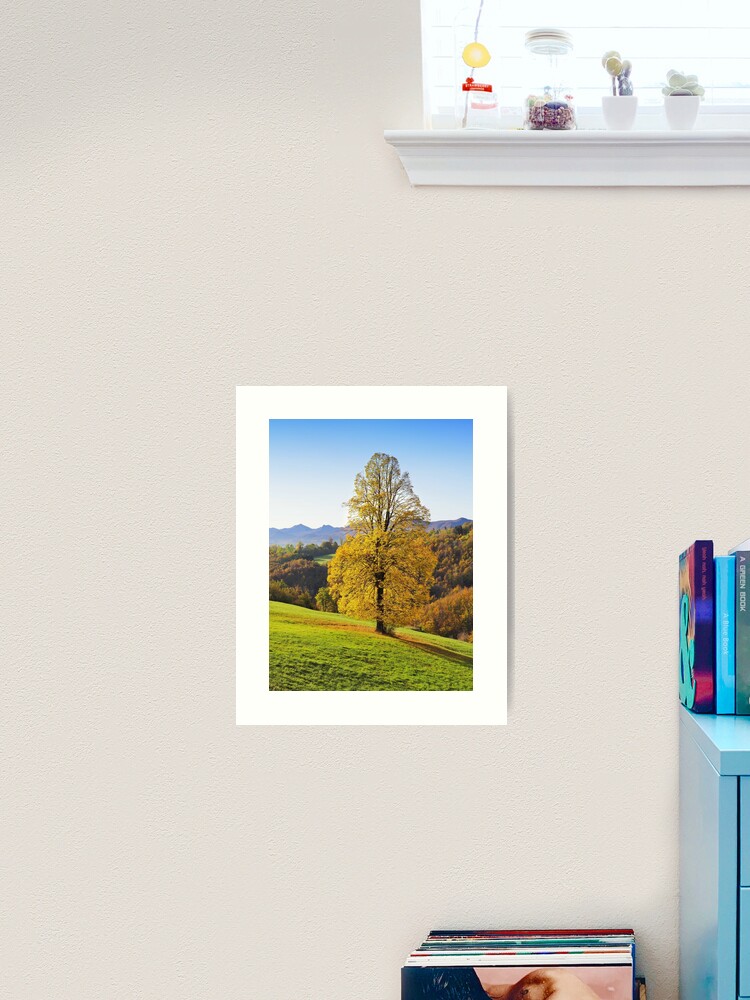 Thumbnail 1 of 3, Art Print, Yellow autumn three in italian countryside designed and sold by wildfaun.