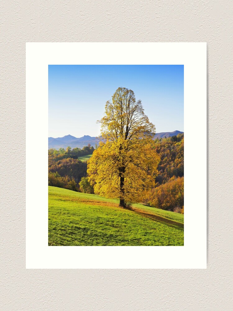 Thumbnail 2 of 3, Art Print, Yellow autumn three in italian countryside designed and sold by wildfaun.
