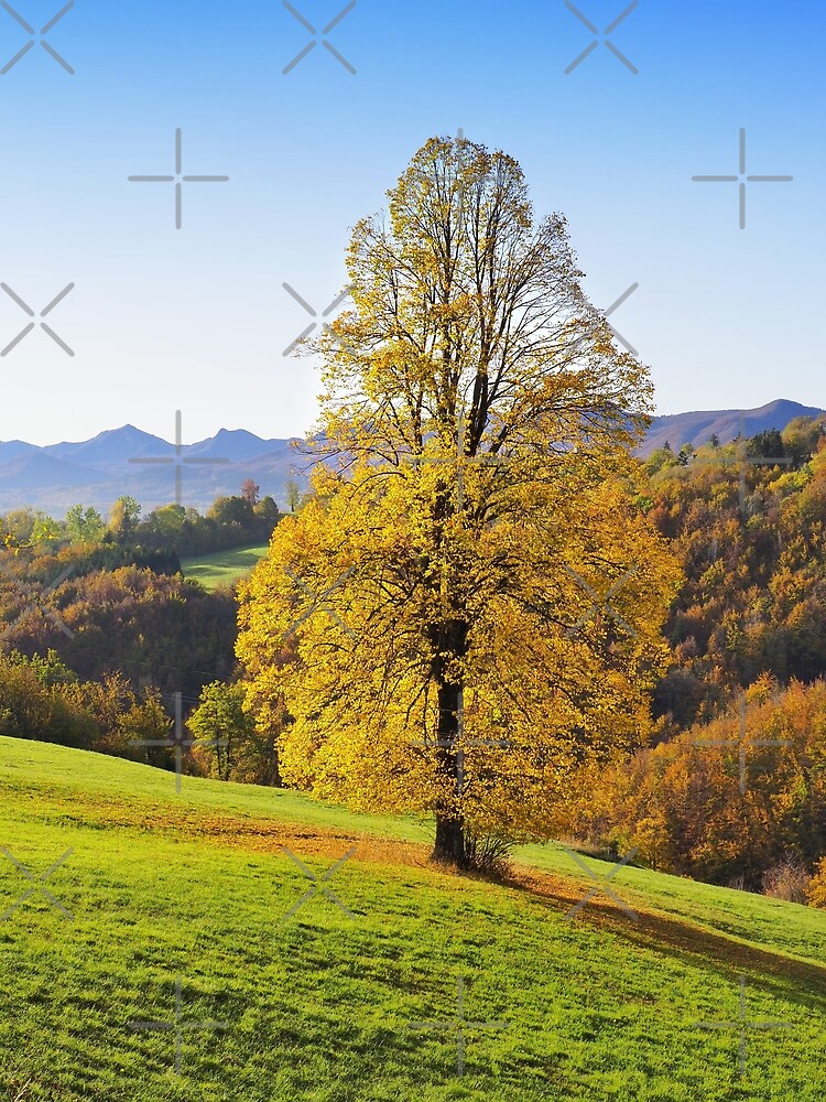 Thumbnail 3 of 3, Art Print, Yellow autumn three in italian countryside designed and sold by wildfaun.