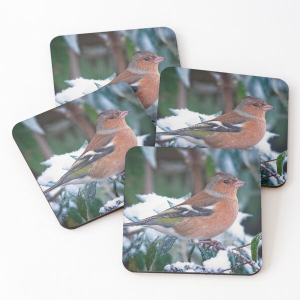 Item preview, Male Chaffinch Garden Bird designed and sold by Martyn R Arnold Fine Art Nature & Landscape Photography.