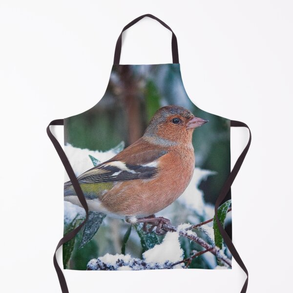 Item preview, Male Chaffinch Garden Bird designed and sold by Martyn R Arnold Fine Art Nature & Landscape Photography.