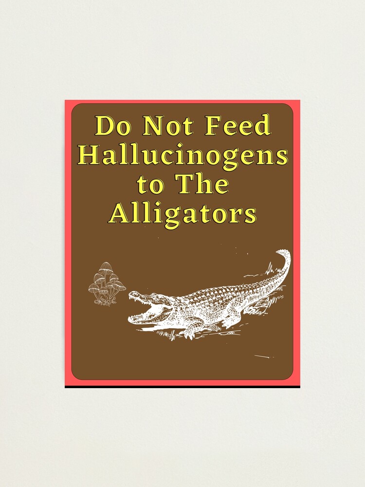 Do Not Feed Hallucinogens To The Alligators Meme Photographic Print