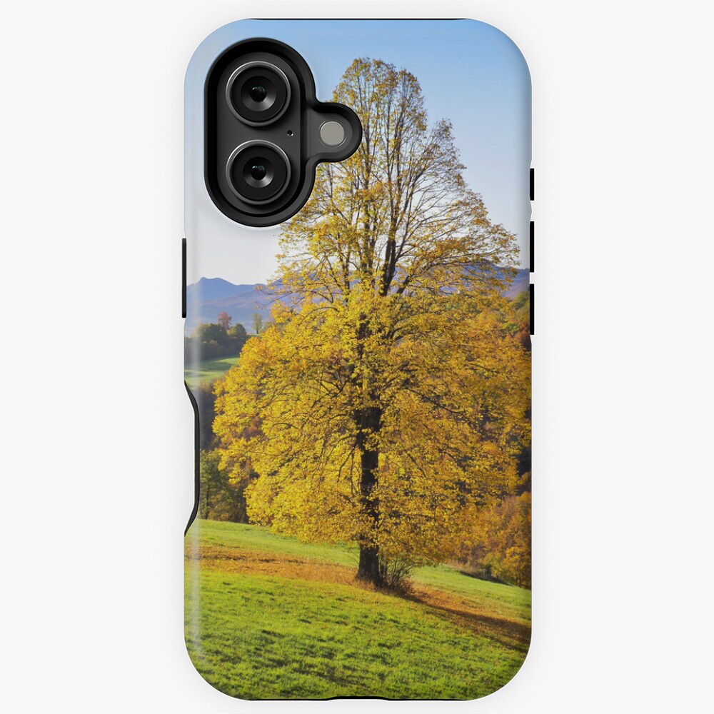 Item preview, iPhone Magsafe Tough Case designed and sold by wildfaun.