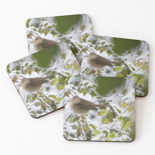 Artikelvorschau, Dusky Warbler entworfen und verkauft von LaurenTucker.